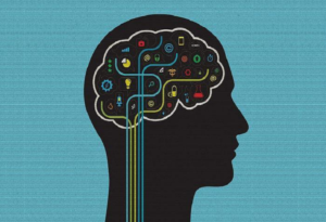 Intellectual Property