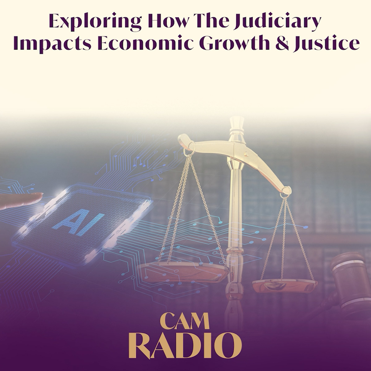 Clear Cut: Exploring How The Judiciary Impacts Economic Growth & Justice
